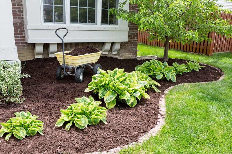 Mulching Services Image